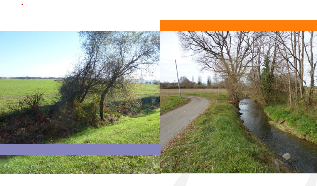 Enquête publique pour la déclaration d’intérêt général du programme pluriannuel de gestion des cours d’eau du bassin de l’Agle et de l’Aulouze
