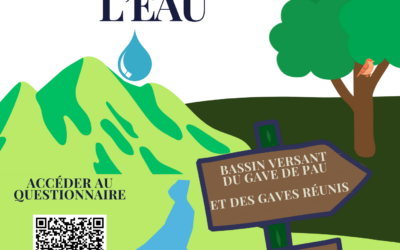 Participez à la mise en place de la Charte de gestion de la ressource en eau sur le bassin du gave de Pau et des gaves réunis