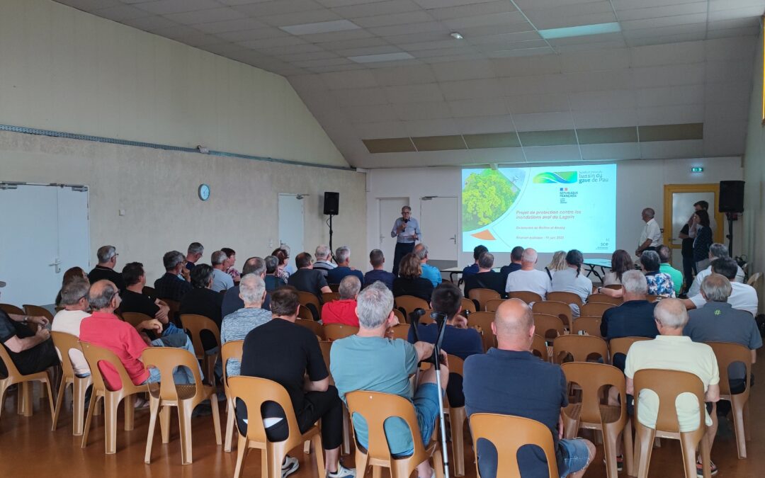 Réunion publique du 11 juin 2025 – projet de protection contre les inondations aval du Lagoin – communes de Meillon et Aressy
