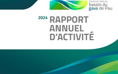 Rapport annuel d’activité 2024