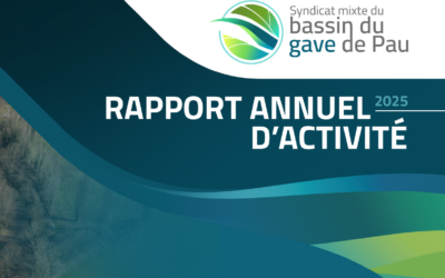 Rapport annuel d’activité 2025